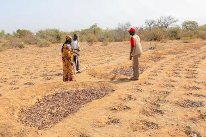 Two community members and a mercy corps employee engage in a agricultural setting.