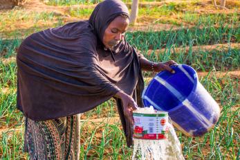 Malian woman watering market garden plants.