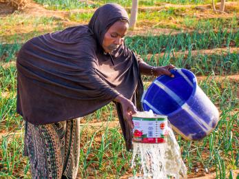 Malian woman watering market garden plants.